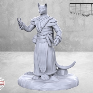 キャットフォークウィザードミニチュア | キャットフォークソーサラーミニチュア | 英雄キャラクター | D&DやパスファインダーのようなテーブルトップRPG | 28mm