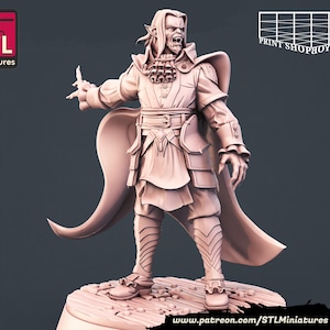 Vampire | Vampire Set | Tabletop Miniatures | STL Miniatures | 32mm | for RPGs like D&D or Pathfinder Vampire Lord B