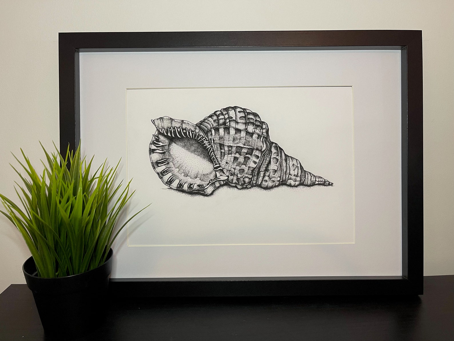Conch Seashell - Pointillism, Illustration, Dot Work, Stippling, A4 ...