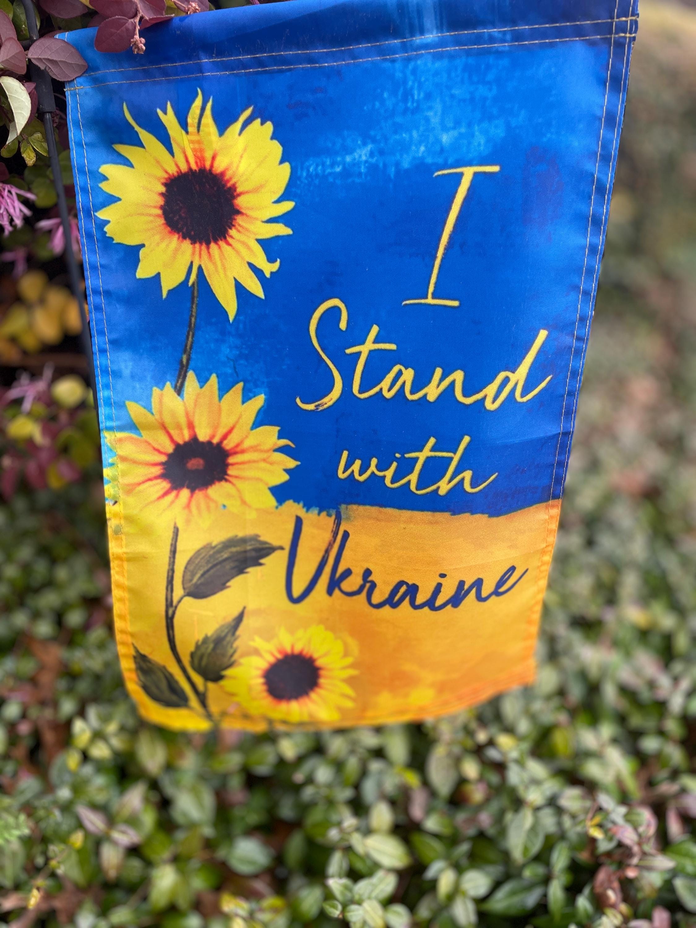 Ucraina Bandiera US/Ucraina Amicizia Risvolto Pin W/Doppio