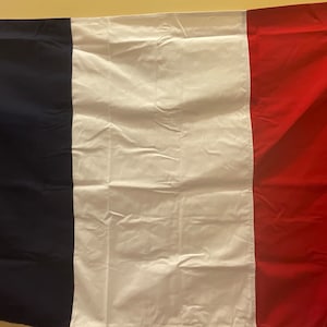 Bandiera della Francia 3 x 5 piedi cucita e ricamata con occhielli in ottone in tessuto di cotone