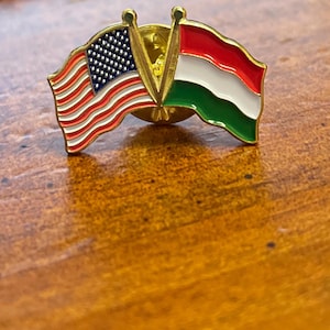 USA Hungary country flag friendship brooches pin hand stamped and baked finished cloisonné pin