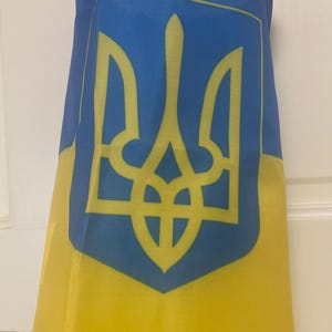 May include: A cylindrical windsock featuring horizontal bands of blue and yellow fabric. The upper section displays a large, yellow Ukrainian trident emblem centered within a blue shield outline, printed on the blue and yellow background fabric.