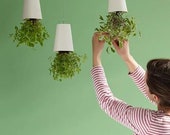 Upside Down Hanging Plant Pot