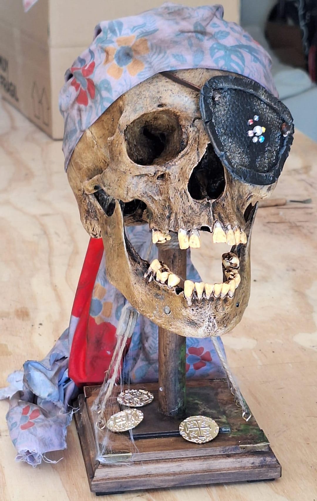 片目のウィリー（グーニーズ）の頭蓋骨のレプリカ。第二シリーズ