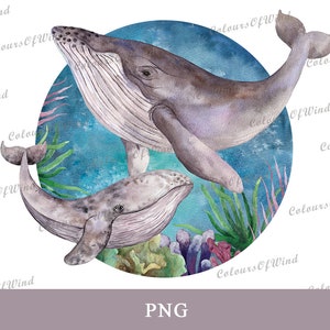 Blauwal Sublimationsdesigns, Aquarell Mama und Baby PNG, Ozean Tiere Druck, Meer Baby Shower Grafiken, Wandkunst Aufkleber, digitale Datei