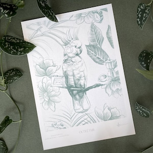May include: A green and white illustration of a cockatoo perched on a branch with a vintage radio and flowers. The text "OUTRÉ FAIR" is at the bottom of the image.