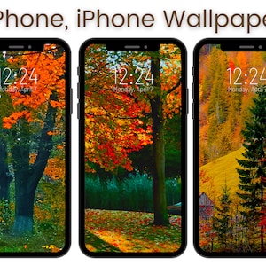 iPhone Wallpaper Fall Autumn Phone Wallpaper Set, Boho, Nature, Dark, Aesthetic, Cute, Floral  Red Brown, Background, Digital Art Lockscreen