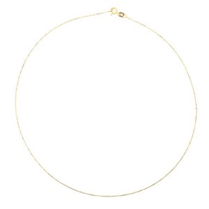 May include: A delicate gold chain necklace with a simple clasp.