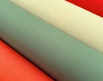 Dralon Outdoor-Canvas-Gewebe, einfarbig, UV-beständig, schmutzabweisend, wasserabweisend, 5 Farben, Breite 160 cm