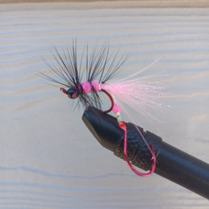 May include: A pink and black fly fishing lure with a pink feather tail and black hackle.