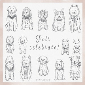 Pet portrait clipart, Corgi, Bolognese, Labradoodle, Yorkshire terrier, French bulldog, Dachshund, Spaniel, Collie, Retriever, PNG_Vector