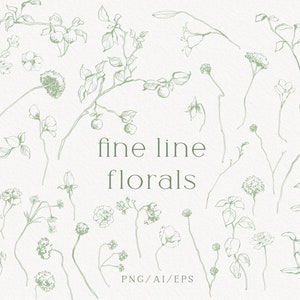 Flores desenhadas à mão, Arte de linha botânica, esboços florais, Plantas vetoriais, Peças botânicas, Galhos e folhas, PNG, EPS, Download instantâneo