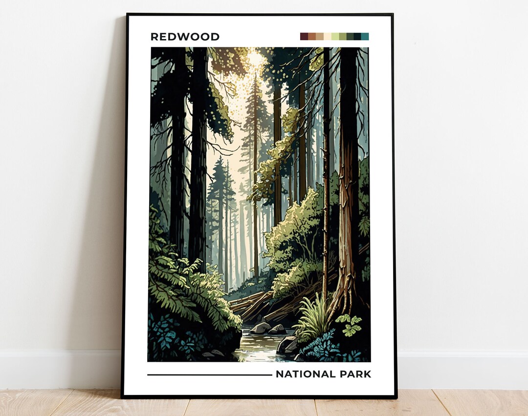 Redwood National Park Poster, US National Parks Poster, California
