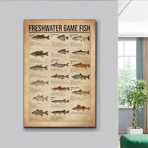 May include: A vintage-style poster featuring illustrations of various freshwater game fish, including bass, crappie, salmon, catfish, trout, pike, and walleye. Each fish is labeled with its common name and the world record weight and location.