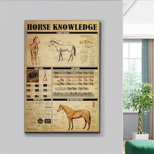 Horse Knowledge Poster, Horse Anatomy Poster, Horse Knowledge Poster, Horse Lover Poster, Knowledge Poster, Vintage Wall Art