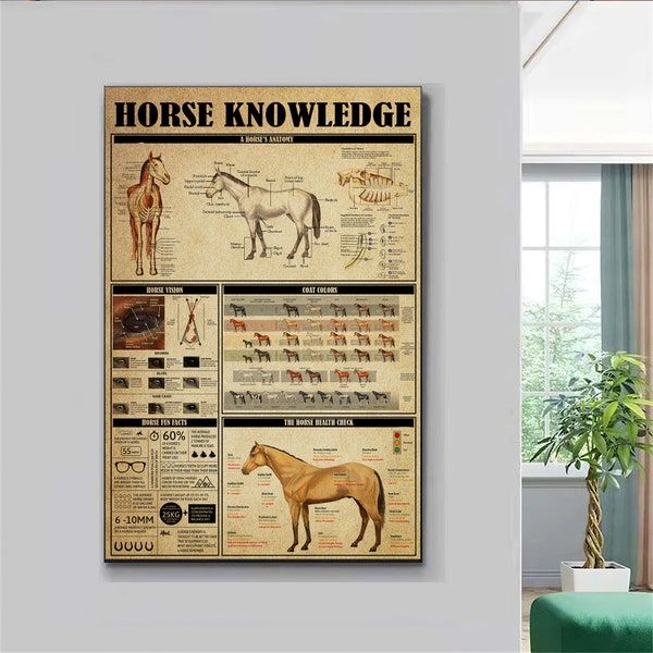 Horse Knowledge Poster, Horse Anatomy Poster, Horse Knowledge Poster, Horse Lover Poster, Knowledge Poster, Vintage Wall Art