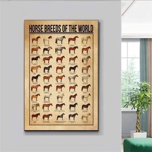 Horse Knowledge Poster, Horse Lover Poster, Horse Information Poster, Types of Horse Vintage Poster, Horse Lover Gift, Horse Poster Wall Art
