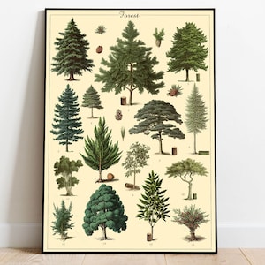 Forest Trees Poster, Forest Wall Art, Larousse Forest Poster, Pine Trees Art, Nature Lover Gift, Trees Lover Poster, Forest Wall Decor