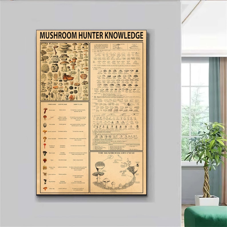 Op de afbeelding: Een vintage poster met de titel "Mushroom Hunter Knowledge" met illustraties van verschillende soorten paddenstoelen, hun gebruikelijke namen, wetenschappelijke namen en beschrijvingen. De poster bevat ook een diagram van de levenscyclus van paddenstoelen.