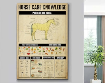 Horse Care Knowledge Poster, Horse Anatomy Poster, Horse Knowledge Poster, Horse Lover Poster, Knowledge Poster, Vintage Wall Art