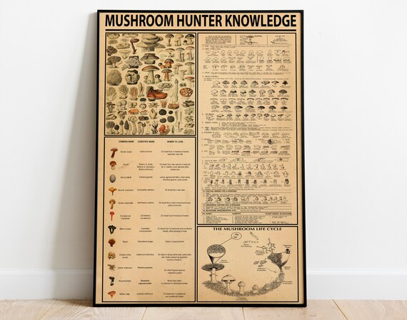 Mushroom Hunter Knowledge Poster, Mushroom Lovers Gift Art, Types Of Mushroom Print, Mushroom Hunting, Mushrooms Decoration