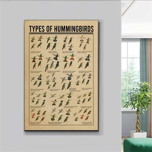Types of hummingbirds Poster, Hummingbird Poster, Knowledge Print, Vintage Hummingbird Illustration, Home Decor Wall Art, Hummingbird Art