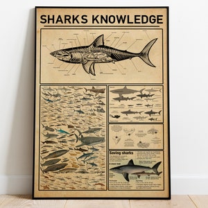 Sharks Knowledge Poster, Shark Tooth Identification Guide Knowledge Poster, Shark Wall Art Decor, Types Of Shark Poster, Shark Lover Gift