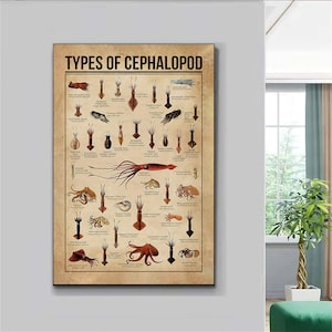 Types Of Cephalopod Poster, Octopus Species Art, Underwater Nature Print, Octopus Illustration Print, Cephalopod Poster,Cephalopod Art Print