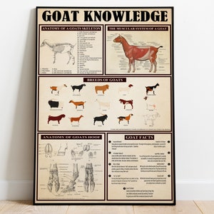 May include: A vintage-style educational poster about goats. The poster features illustrations of a goat skeleton, muscular system, different breeds, hoof anatomy, and goat facts. The poster has a brown background with white text and illustrations.