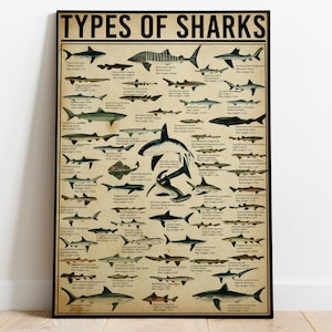 Shark Knowledge Poster, Types Of Shark Poster, Shark Identification Guide Knowledge Poster, Shark Wall Art Home Decor, Identification Guide