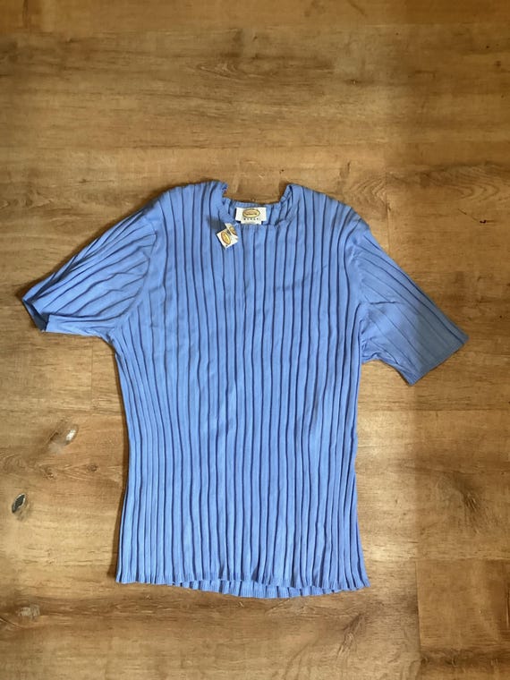 New Talbots Woman Light Blue Vertical Columns Short Sleeve Shirt Size 3X