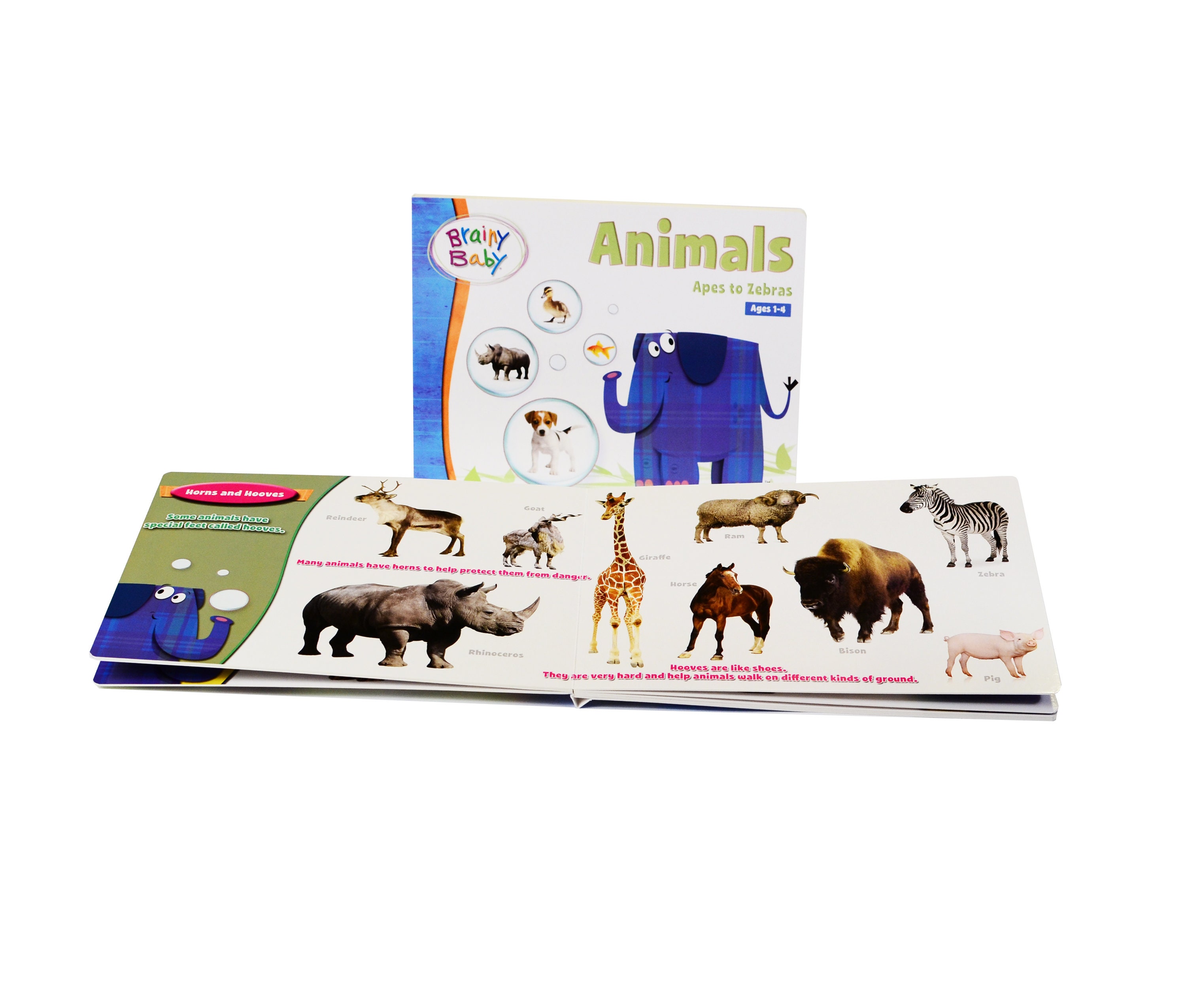 Brainy baby animals apes to zebras deluxe edition dvd board etsy