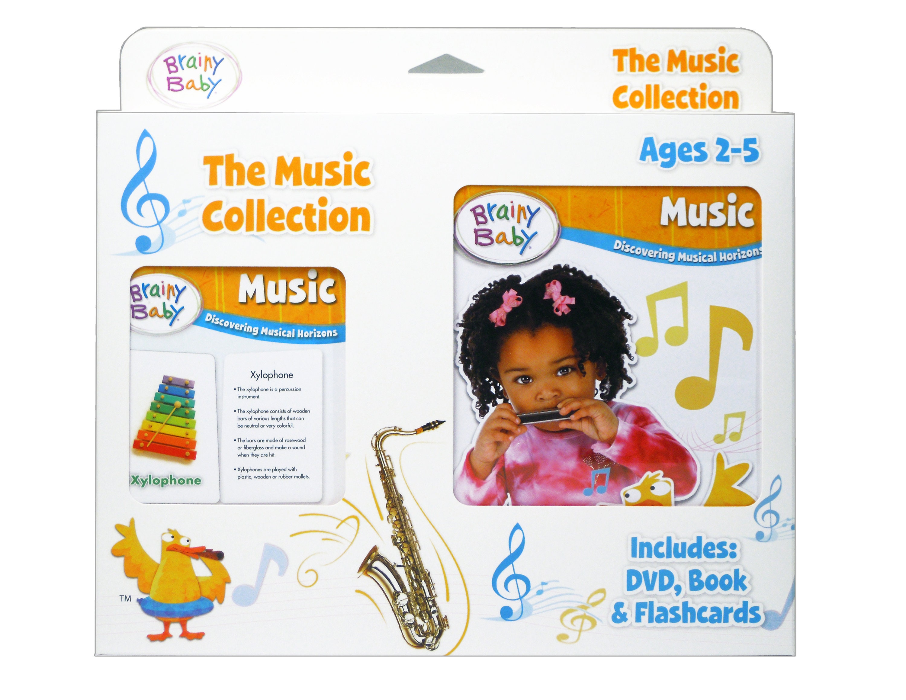 Brainy Baby® Music Video, Book & Flashcards Set of 3 : Discovering