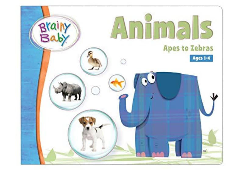 Brainy Rabbit Brainy Baby® Animals DVD, Book & Flashcards Set of 3 : Animals, Apes to ...