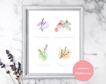 May include: A printable art print with watercolor illustrations of lavender, peppermint, rosemary, and thyme. Each plant is labeled with its name in a handwritten font.
