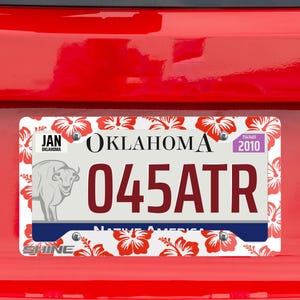 Hibiscus Flower License Plate Frame: Tropical Car Accessory, USA Made