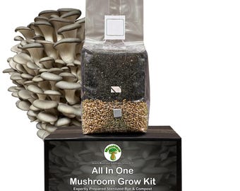 MycoHaus Mushroom All in One Growing Kit with Injection Ports | Indoor Grow Bags for Mushrooms | Home Cultivation Supplies | 4 Pack