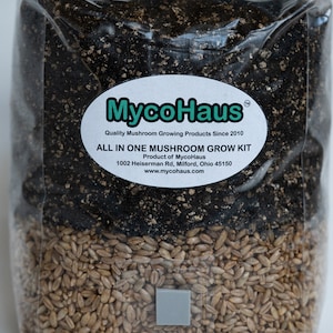 Mushroom Growing Kit All In One Bag With Injection Port Just Add Culture With Rye Berry And Mushroom Compost Fruit In The Bag Sterilized