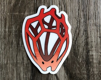 Clathrus Ruber Mushroom - Vinyl Sticker