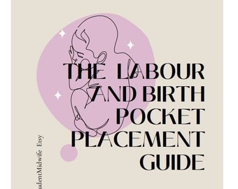 Pocket Placement Guide Care in Labour and Birth with birth positions wheel
