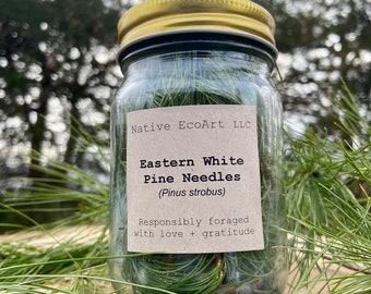 Eastern White Pine Needles