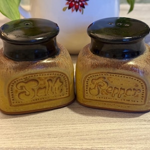 May include: A pair of ceramic salt and pepper shakers. The shakers are rectangular with rounded corners and a light brown glaze. The lids are dark brown. The word "Salt" and "Pepper" are embossed on the front of each shaker.