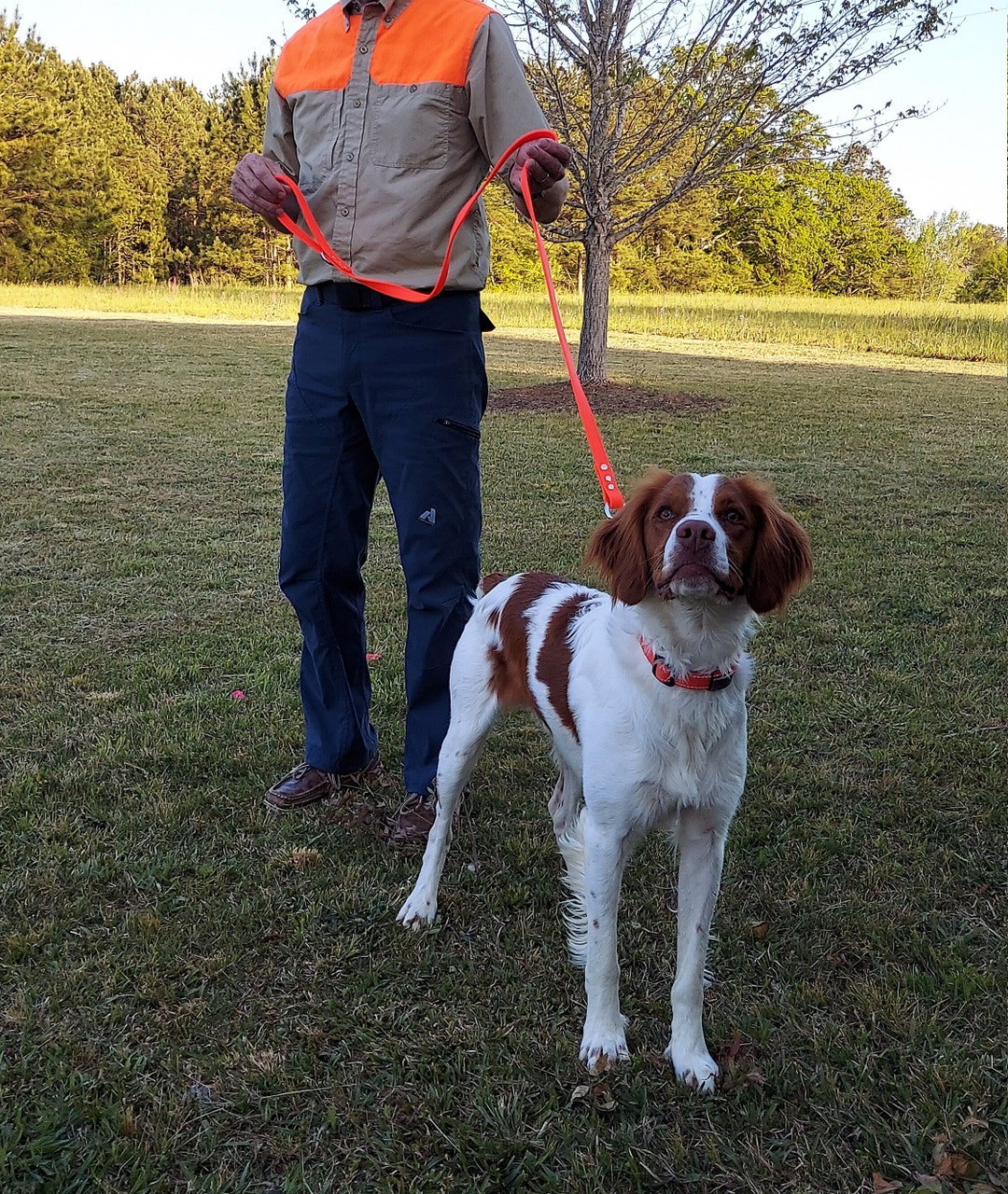 Purple Medium Handlers Leash Etsy