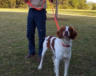 Purple Medium Handlers Leash