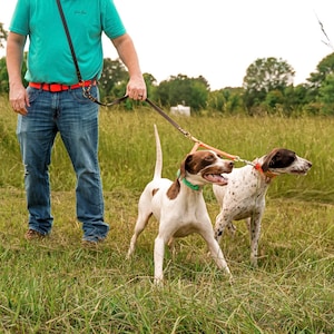 Jaeger Lead Brown Walker&#39;s Leash Over the Shoulder Hands Free leash Hunt Test  NAVHDA Duck Hunting
