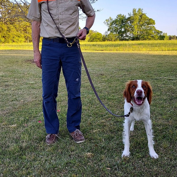 Jaeger lead Brown Walker's Lead over the shoulder leash hunt test NAVHDA hunting