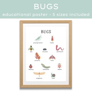Bugs Educational Neutral Poster | Instant Digital Download | Homeschool | Preschool | Kindergarten | Daycare | Elementary Middle High School