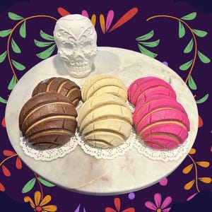 Realistic Mexican Pan Dulce Conchas Magnets