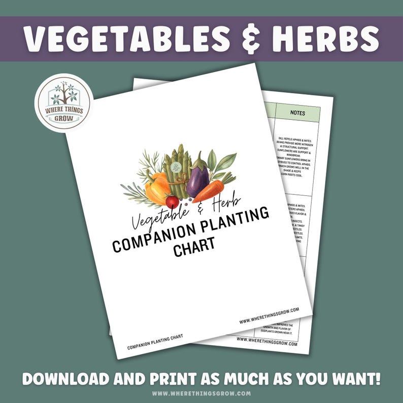 Vegetable & Herb Garden Companion Planting Guide, Garden Planner, Instant Download, Gift for Gardeners, Garden Printable